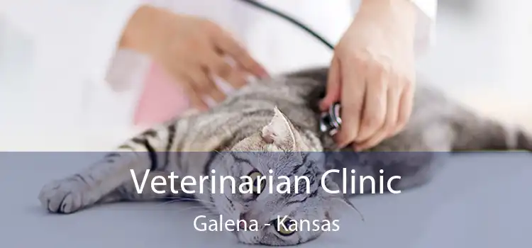 Veterinarian Clinic Galena - Kansas