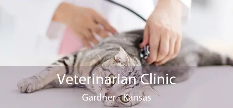 Veterinarian Clinic Gardner - Kansas