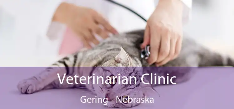 Veterinarian Clinic Gering - Nebraska