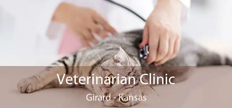 Veterinarian Clinic Girard - Kansas