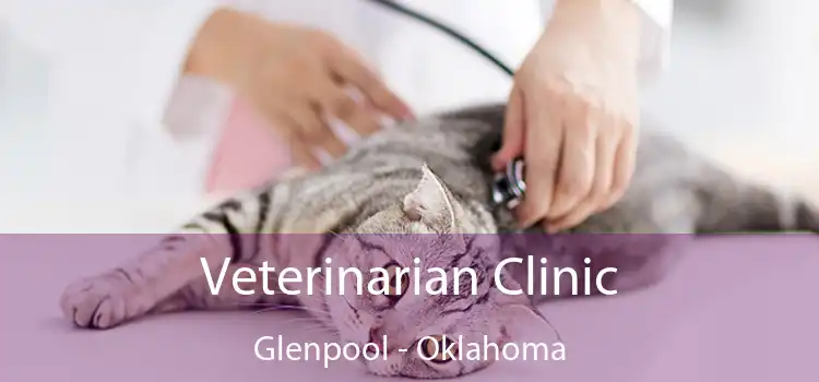 Veterinarian Clinic Glenpool - Oklahoma