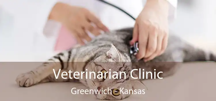 Veterinarian Clinic Greenwich - Kansas