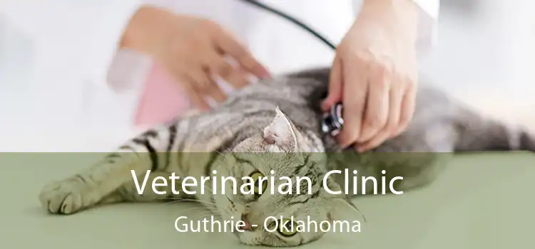 Veterinarian Clinic Guthrie - Oklahoma