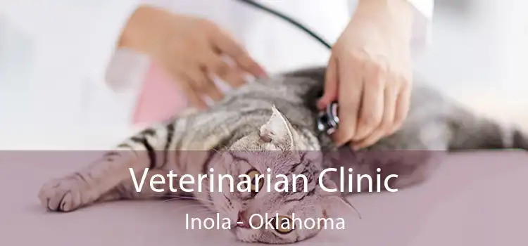 Veterinarian Clinic Inola - Oklahoma