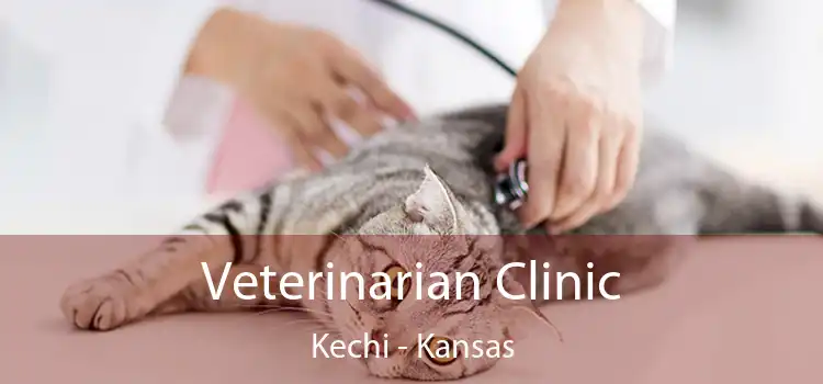 Veterinarian Clinic Kechi - Kansas