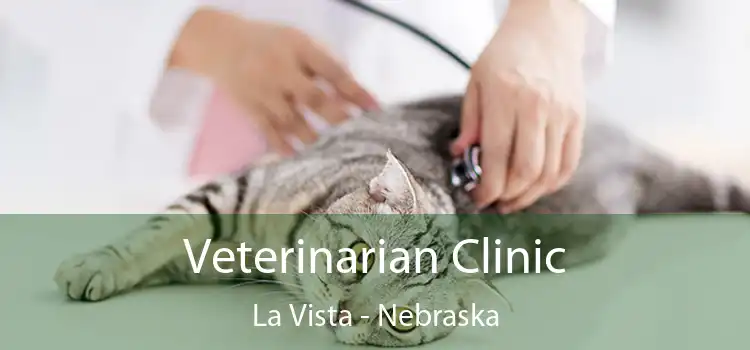 Veterinarian Clinic La Vista - Nebraska