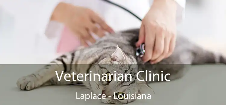 Veterinarian Clinic Laplace - Louisiana