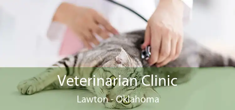 Veterinarian Clinic Lawton - Oklahoma