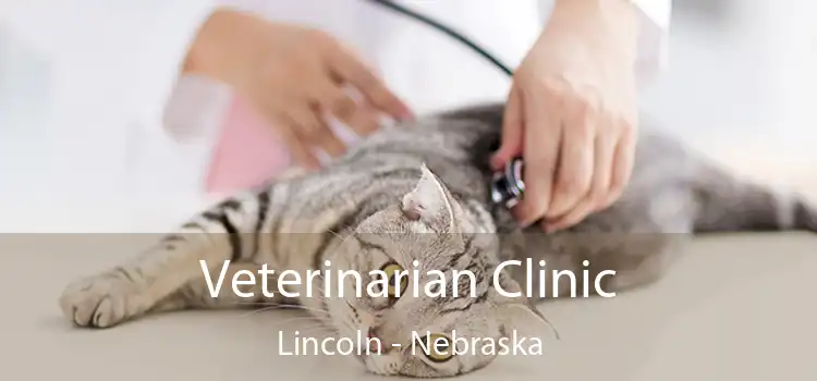 Veterinarian Clinic Lincoln - Nebraska