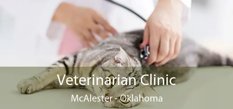 Veterinarian Clinic McAlester - Oklahoma