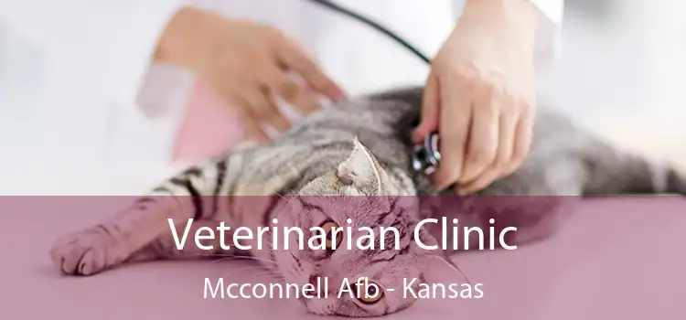 Veterinarian Clinic Mcconnell Afb - Kansas