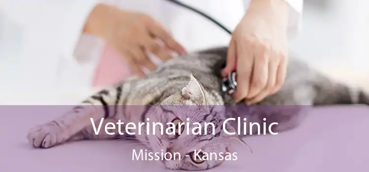 Veterinarian Clinic Mission - Kansas