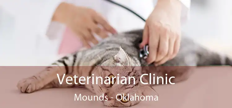 Veterinarian Clinic Mounds - Oklahoma