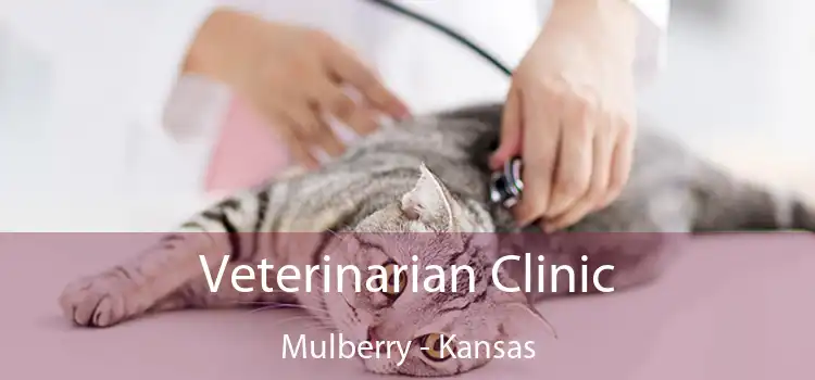 Veterinarian Clinic Mulberry - Kansas