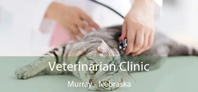 Veterinarian Clinic Murray - Nebraska