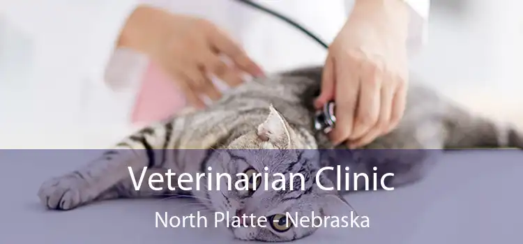 Veterinarian Clinic North Platte - Nebraska