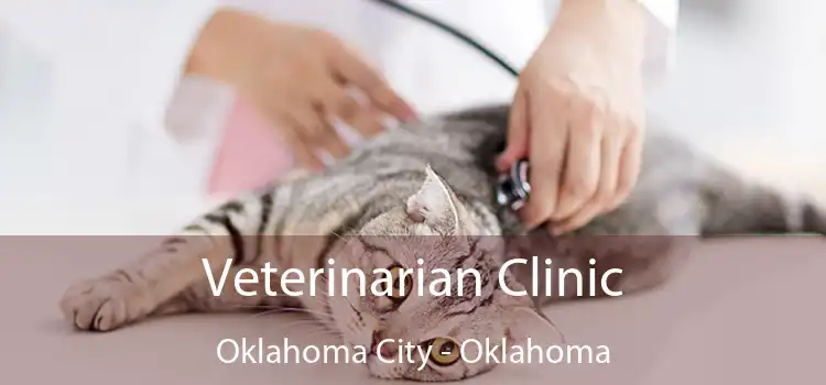 Veterinarian Clinic Oklahoma City - Oklahoma