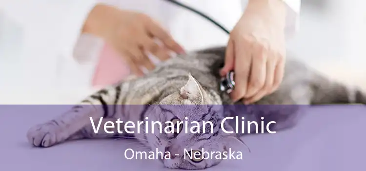 Veterinarian Clinic Omaha - Nebraska