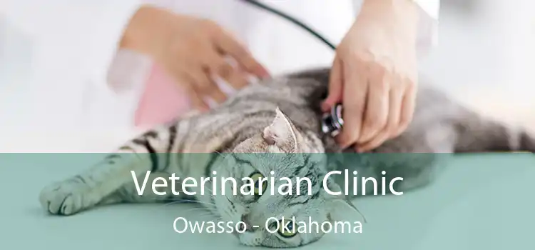 Veterinarian Clinic Owasso - Oklahoma