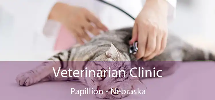 Veterinarian Clinic Papillion - Nebraska