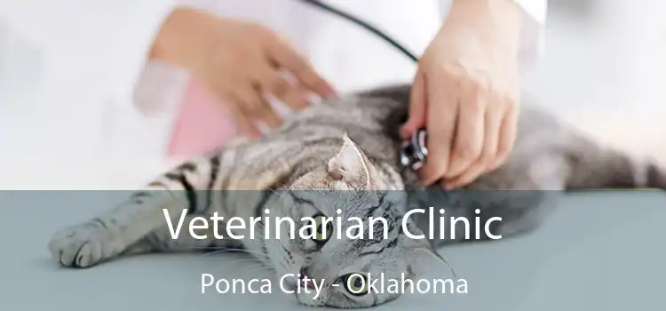 Veterinarian Clinic Ponca City - Oklahoma