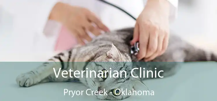 Veterinarian Clinic Pryor Creek - Oklahoma