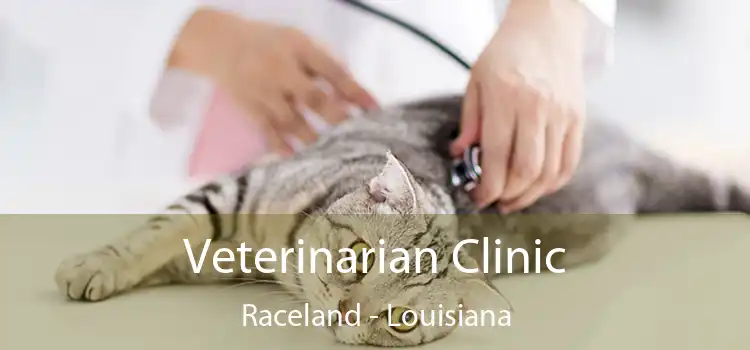 Veterinarian Clinic Raceland - Louisiana