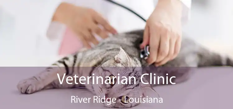 Veterinarian Clinic River Ridge - Louisiana