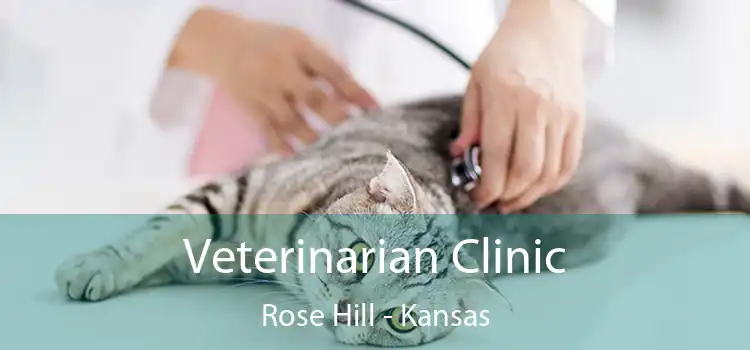 Veterinarian Clinic Rose Hill - Kansas