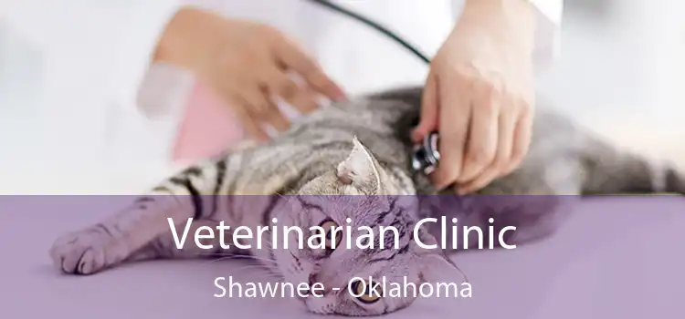 Veterinarian Clinic Shawnee - Oklahoma