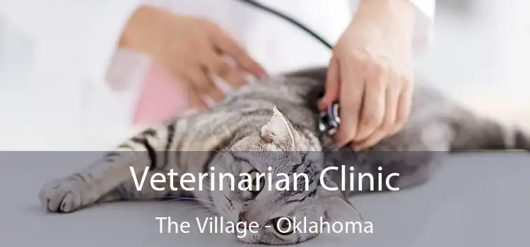 Veterinarian Clinic The Village - Oklahoma