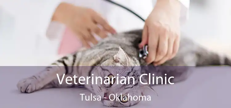 Veterinarian Clinic Tulsa - Oklahoma