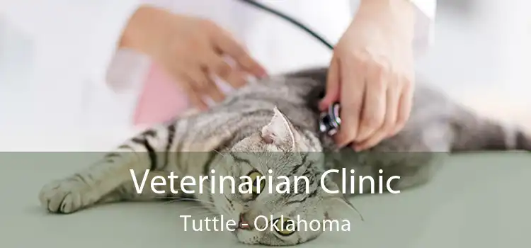 Veterinarian Clinic Tuttle - Oklahoma