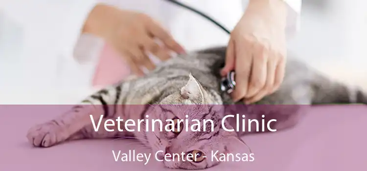 Veterinarian Clinic Valley Center - Kansas