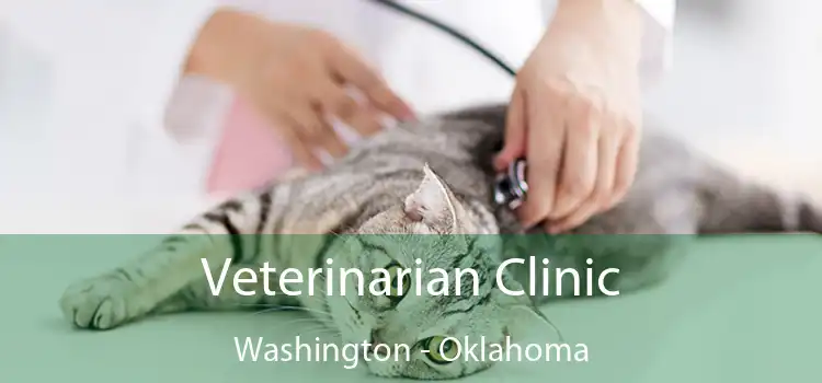 Veterinarian Clinic Washington - Oklahoma