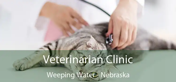 Veterinarian Clinic Weeping Water - Nebraska