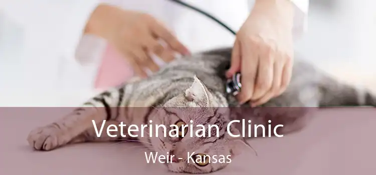 Veterinarian Clinic Weir - Kansas